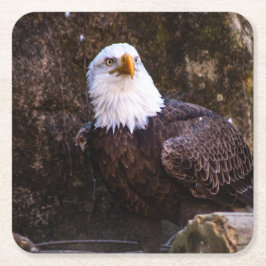 Porta-copo De Papel Quadrado Bald Eagle