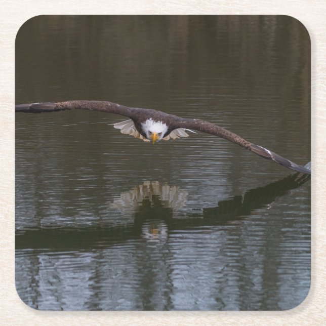 Porta-copo De Papel Quadrado Bald Eagle em Voo (Frente)