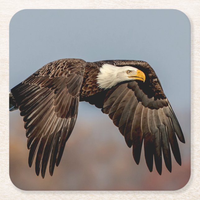 Porta-copo De Papel Quadrado Bald Eagle em voo (Frente)