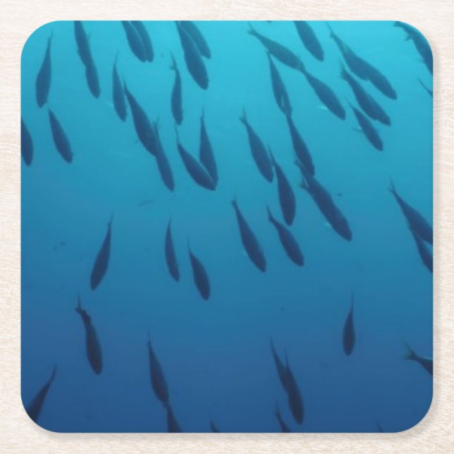 Porta-copo De Papel Quadrado Banco de areia dos peixes (Frente)