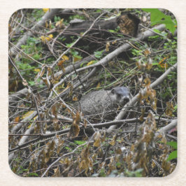 Porta-copo De Papel Quadrado Beaver Ocupado