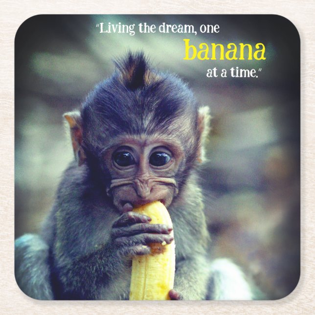 Porta-copo De Papel Quadrado Bebê Macaco Comendo Banana (Frente)