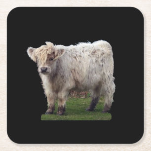 Porta-copo De Papel Quadrado Bebê Vaca das Terras Altas Lindo Bezerro Escocês A
