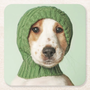 Porta-copo De Papel Quadrado Bebês Mais Pobres   Cocker Spaniel Puppy
