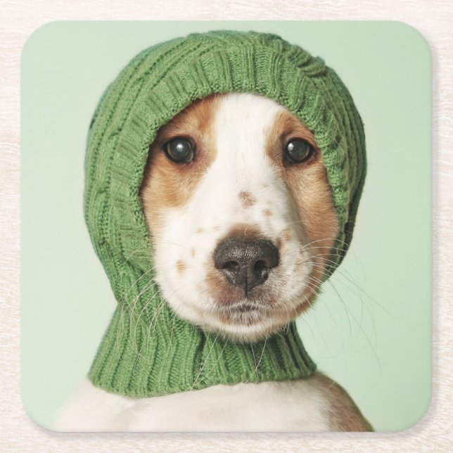 Porta-copo De Papel Quadrado Bebês Mais Pobres | Cocker Spaniel Puppy (Frente)