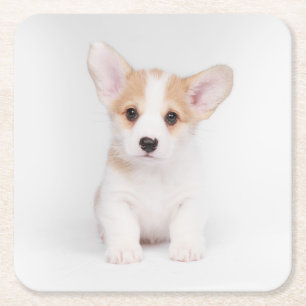 Porta-copo De Papel Quadrado Bebês Mais Pobres   Corgi Branco
