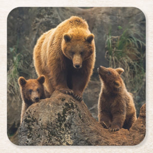 Porta-copo De Papel Quadrado Bebês Mais Pobres Família Brown Bear