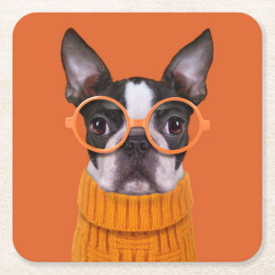 Porta-copo De Papel Quadrado Bebês Mais Pobres Orange Boston Terrier