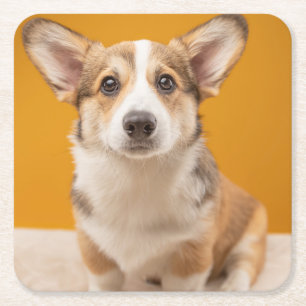 Porta-copo De Papel Quadrado Bebês Mais Pobres   Retrato de Corgi em laranja