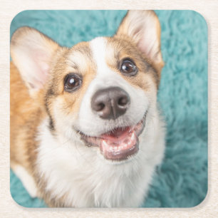 Porta-copo De Papel Quadrado Bebês Mais Pobres   Sorriso De Puppy Corgi