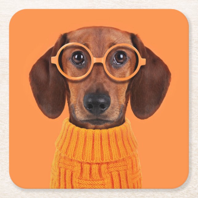 Porta-copo De Papel Quadrado Bebês Mais Pobres | Suéter de laranja Dachshund (Frente)