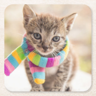 Porta-copo De Papel Quadrado Bebês Mais Pobres Tabby Kitten Rainbow Scarf