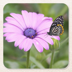 Porta-copo De Papel Quadrado Bela borboleta em flores cor-de-rosa