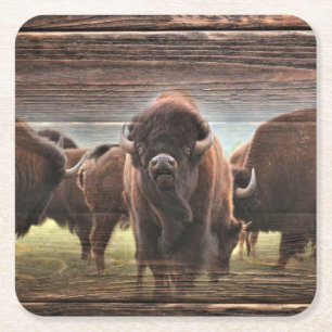 Porta-copo De Papel Quadrado Bela Buffalo Herd