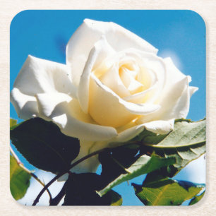 Porta-copo De Papel Quadrado Beleza Rosa Branca