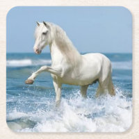 Belo Cavalo Branco na Água