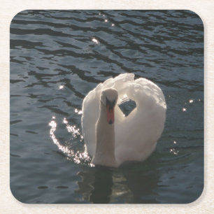 Porta-copo De Papel Quadrado Belo cisne branco