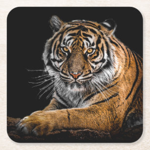 Porta-copo De Papel Quadrado Belo Tigre com Fundo Negro