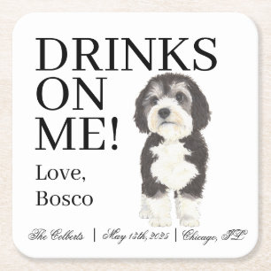 Porta-copo De Papel Quadrado Bernedoodle Sheepadoodle Wedding