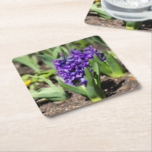 Porta-copo De Papel Quadrado Blue Geocinth em primavera