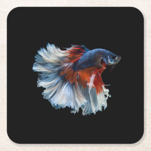Porta-copo De Papel Quadrado Bonita Betta Fish Siamesa