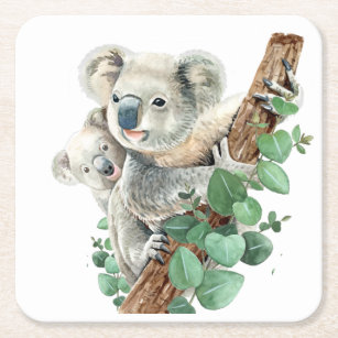 Porta-copo De Papel Quadrado Bonito Koala Bear Arte Animal Australiana  