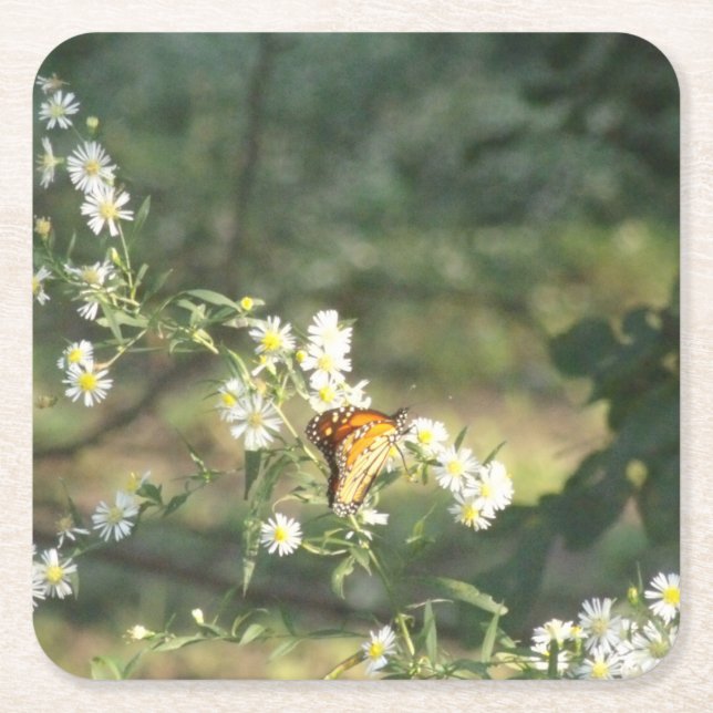 Porta-copo De Papel Quadrado Borboleta (Frente)
