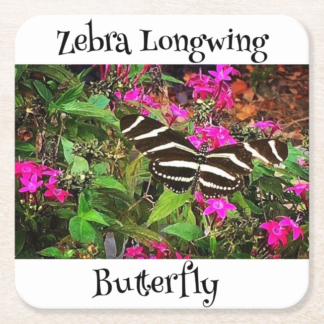 Porta-copo De Papel Quadrado Borboleta Zebra Longwing (Frente)