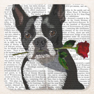 Porta-copo De Papel Quadrado Boston Terrier com Rosa em Boca