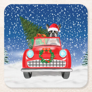 Porta-copo De Papel Quadrado Boston terrivelmente Cão Dirigindo Carro No Natal