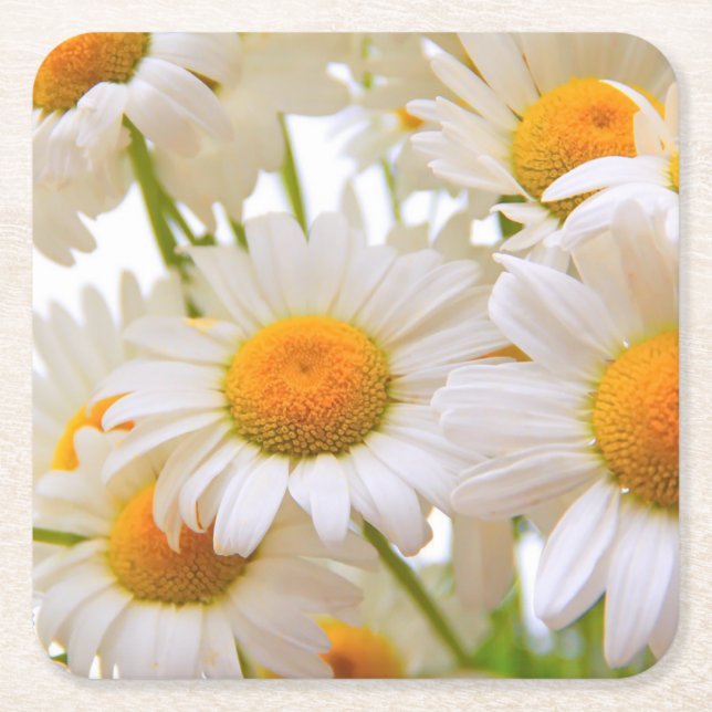 Porta-copo De Papel Quadrado Bright Summer Daisies Flowers (Frente)