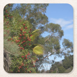 Porta-copo De Papel Quadrado Brinquedos ao longo da trilha Arroyo Seco