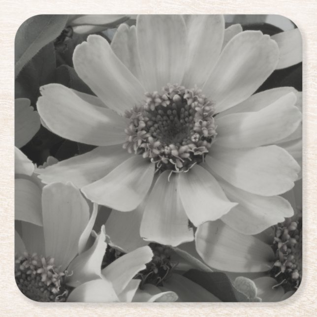 Porta-copo De Papel Quadrado Brown Eyed Susan Flowers (Frente)