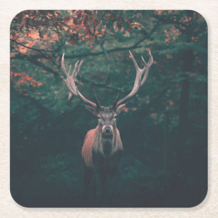 Porta-copo De Papel Quadrado Buck Deer Wild Animal
