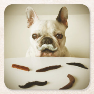 Porta-copo De Papel Quadrado Buldogue francês com um bigode