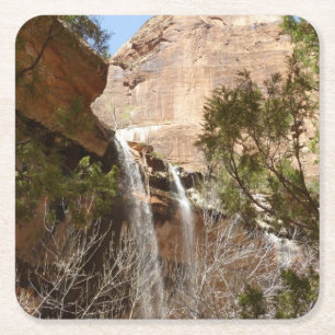 Porta-copo De Papel Quadrado Cachoeira do Emerald Pool I do Zion National Park