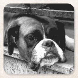 Porta-copo De Papel Quadrado Cachorro-Boxeador No Litoral De Windowsill