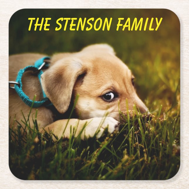 Porta-copo De Papel Quadrado Cachorro-Cachorro-Cachorro (Frente)