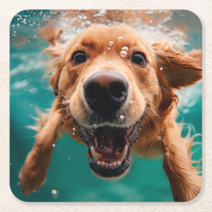 Porta-copo De Papel Quadrado Cachorro Feliz da Raça Golden Retriever Nadar Deba