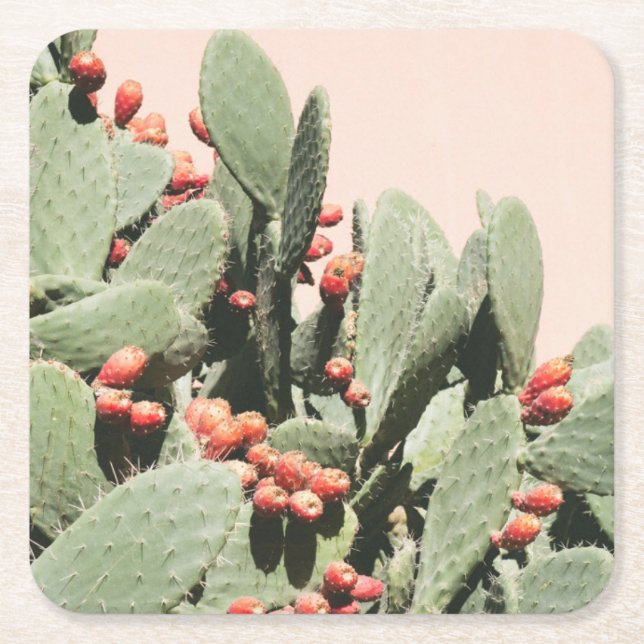 Porta-copo De Papel Quadrado Cacto da pera de Prickley (Frente)