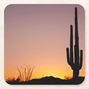 Porta-copo De Papel Quadrado Cacto do Saguaro no por do sol