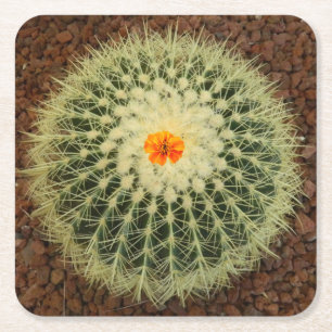 Porta-copo De Papel Quadrado Cactus e Flor