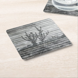 Porta-copo De Papel Quadrado Cactus Plants On Wood Planks Black And White Photo