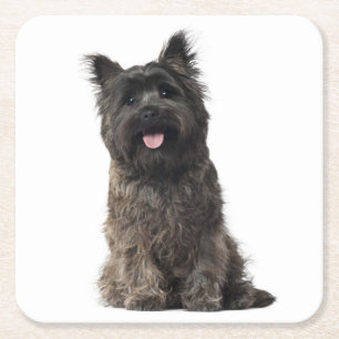 Porta-copo De Papel Quadrado Cairn Terrier Cinza Black Puppy Dog Love