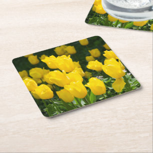 Porta-copo De Papel Quadrado Campo de tulipas amarelas brilhantes