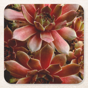 Porta-copo De Papel Quadrado Canadá, . Planta de sucata