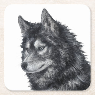 Porta-copo De Papel Quadrado Cão Balto
