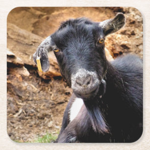 PORTA-COPO DE PAPEL QUADRADO CAPAS