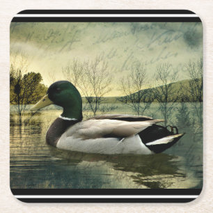 Porta-copo De Papel Quadrado Cartaz Pato de Vintage Mallard Weathered Postcard