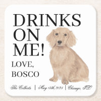 Casamento Inglês Red Dachshund Dog